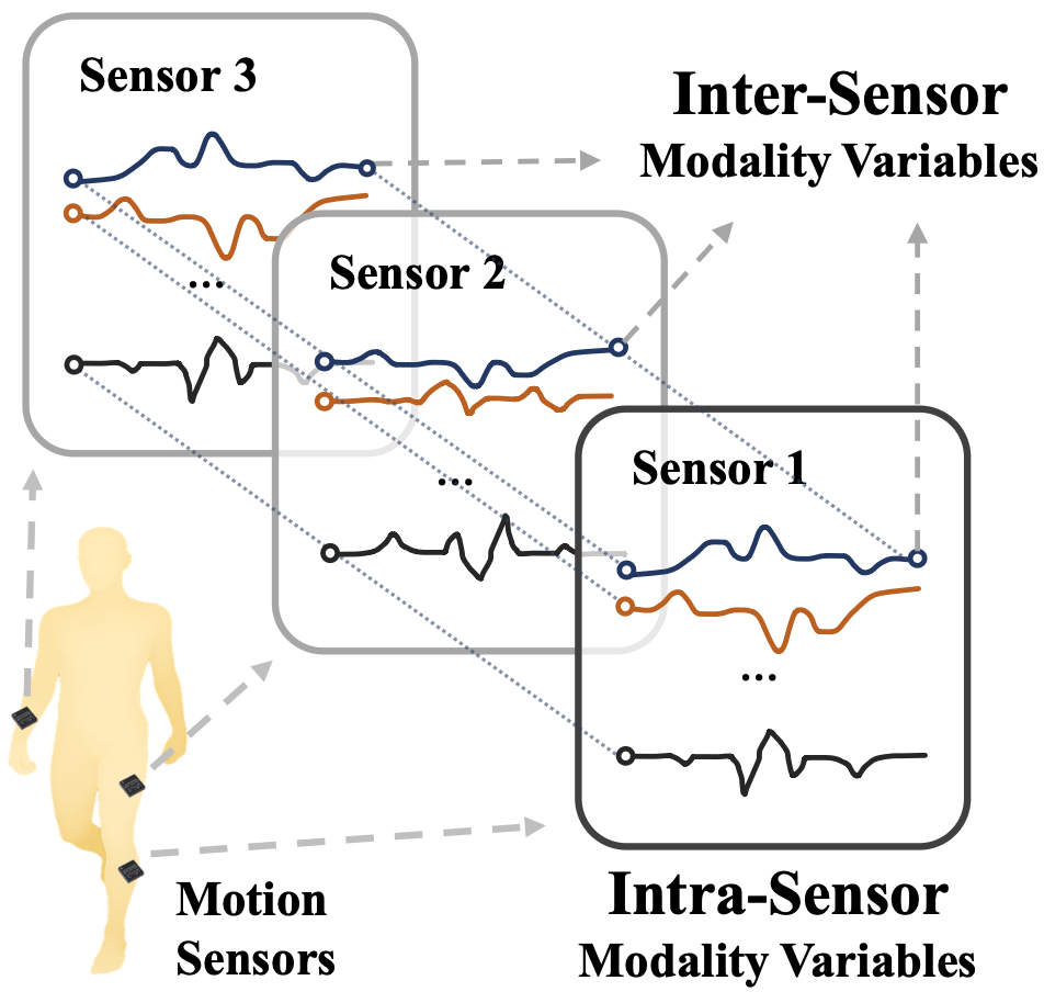 Decomposing and Fusing Intra- and Inter-Sensor Spatio-Temporal Signal for Multi-Sensor Wearable Human Activity Recognition