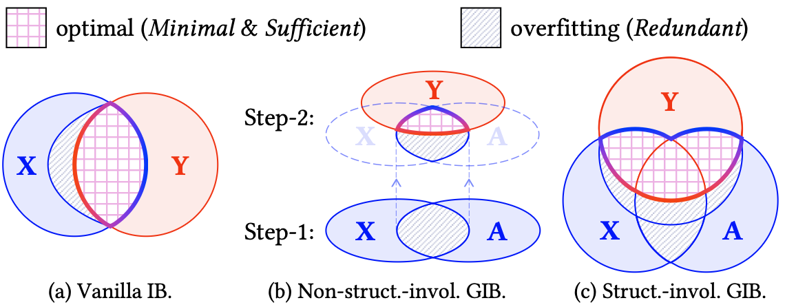 Dynamic Graph Information Bottleneck